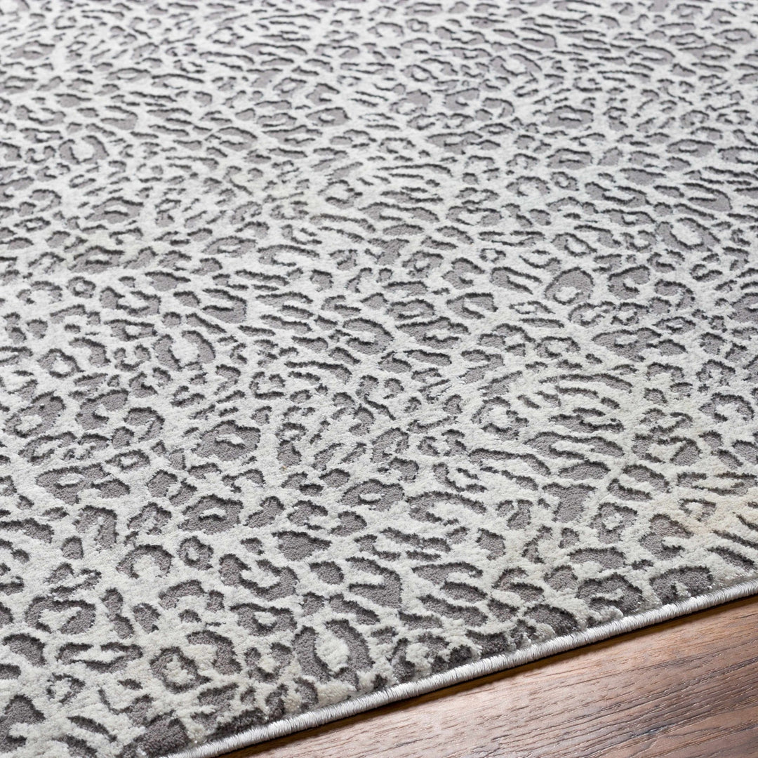 Lesa Gray Modern Contemporary Style Area Rug - The Rug Decor