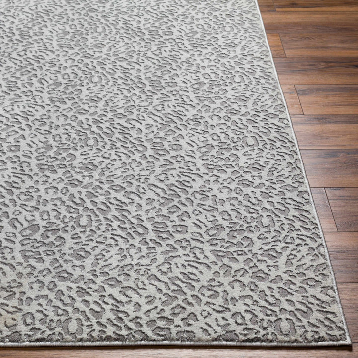 Lesa Gray Modern Contemporary Style Area Rug - The Rug Decor