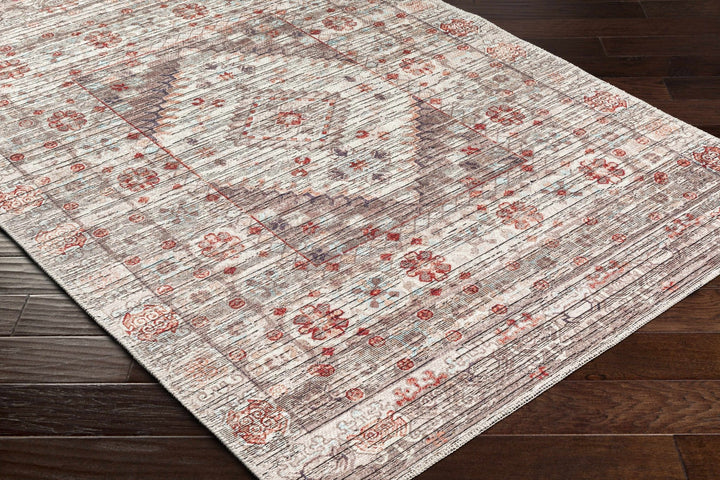 Liam Traditional Transitional Gray And Rust Area Rug - The Rug Decor