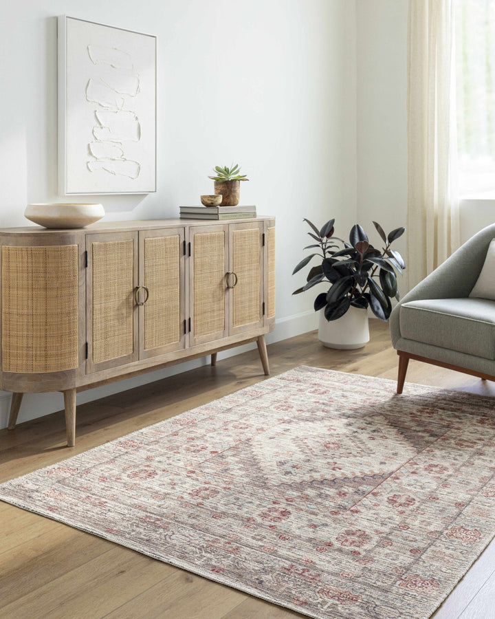 Liam Traditional Transitional Gray And Rust Area Rug - The Rug Decor