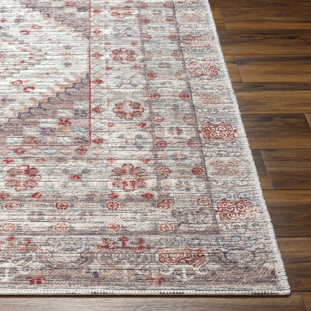 Liam Traditional Transitional Gray And Rust Area Rug - The Rug Decor