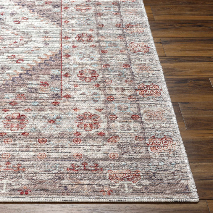 Liam Traditional Transitional Gray And Rust Area Rug - The Rug Decor