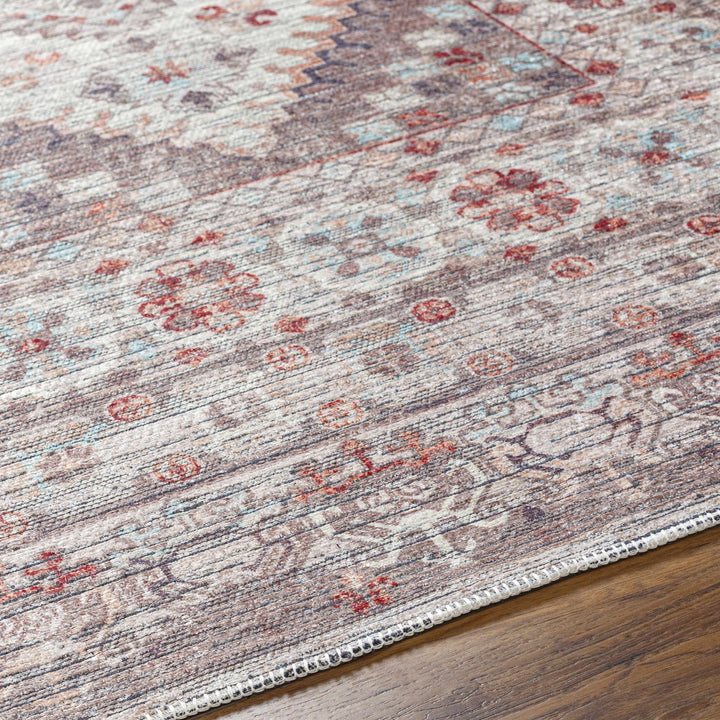 Liam Traditional Transitional Gray And Rust Area Rug - The Rug Decor