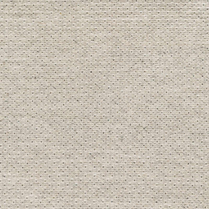 Light Brown And Cream Emlen Traditional Style Hand Woven Wool Rug - The Rug Decor