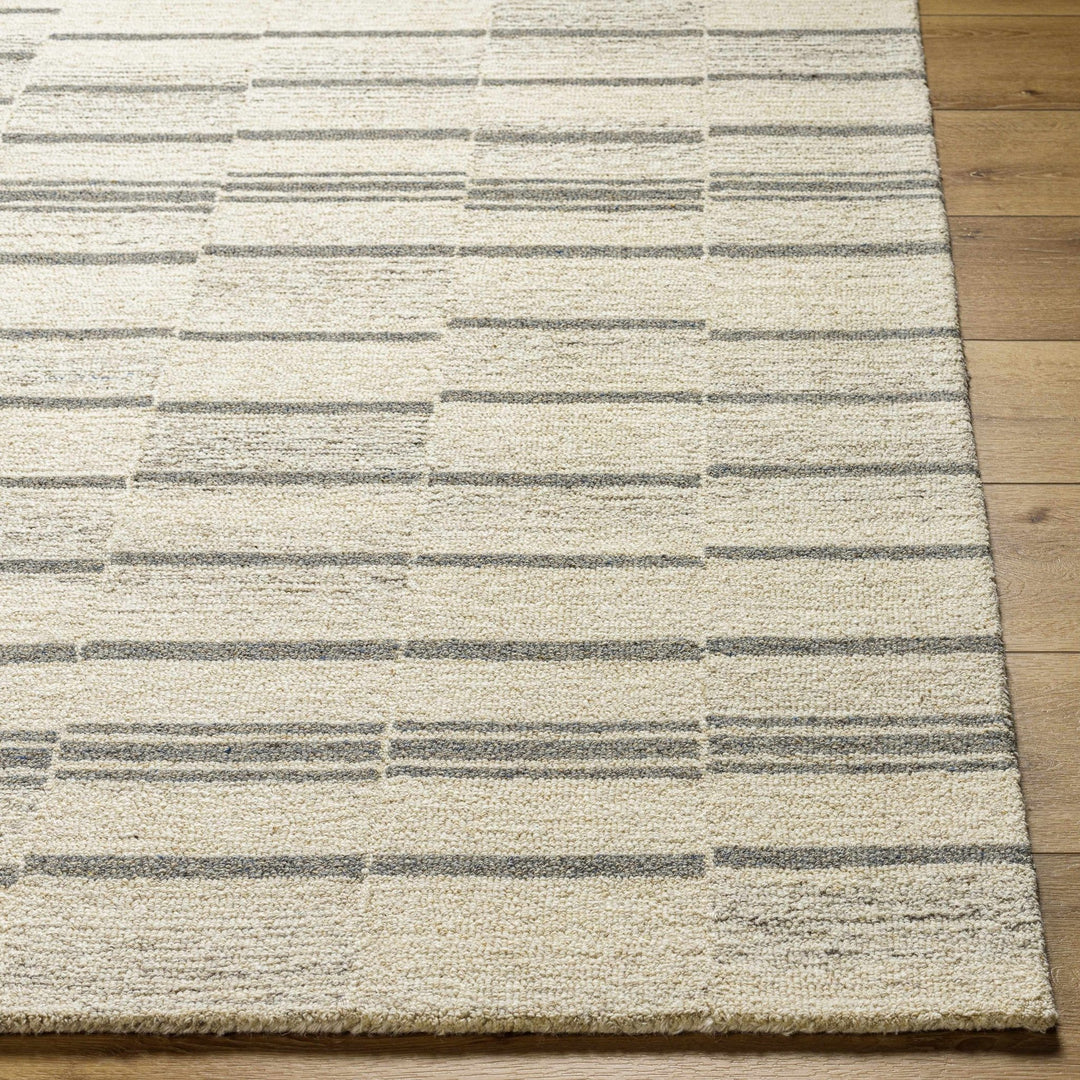 Loba Contemporary Beige And Gray Area Rug - The Rug Decor