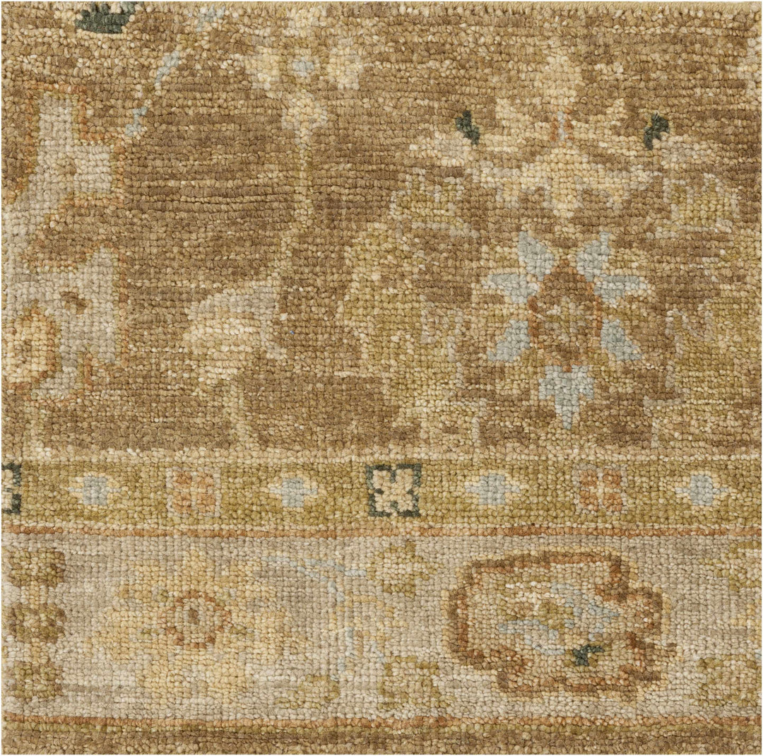 Lockney Brown Traditional Style Hand Knotted Area Rug