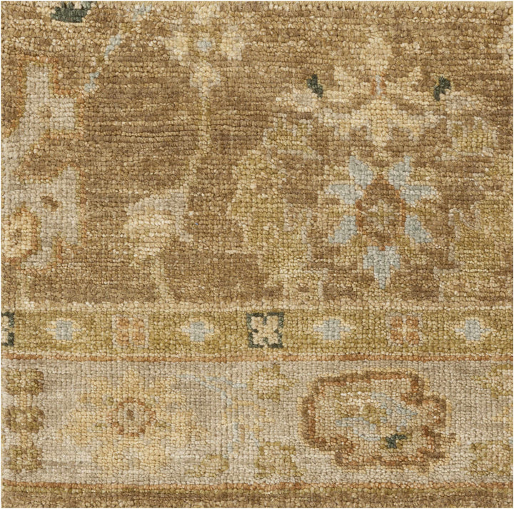 Lockney Brown Traditional Style Hand Knotted Area Rug