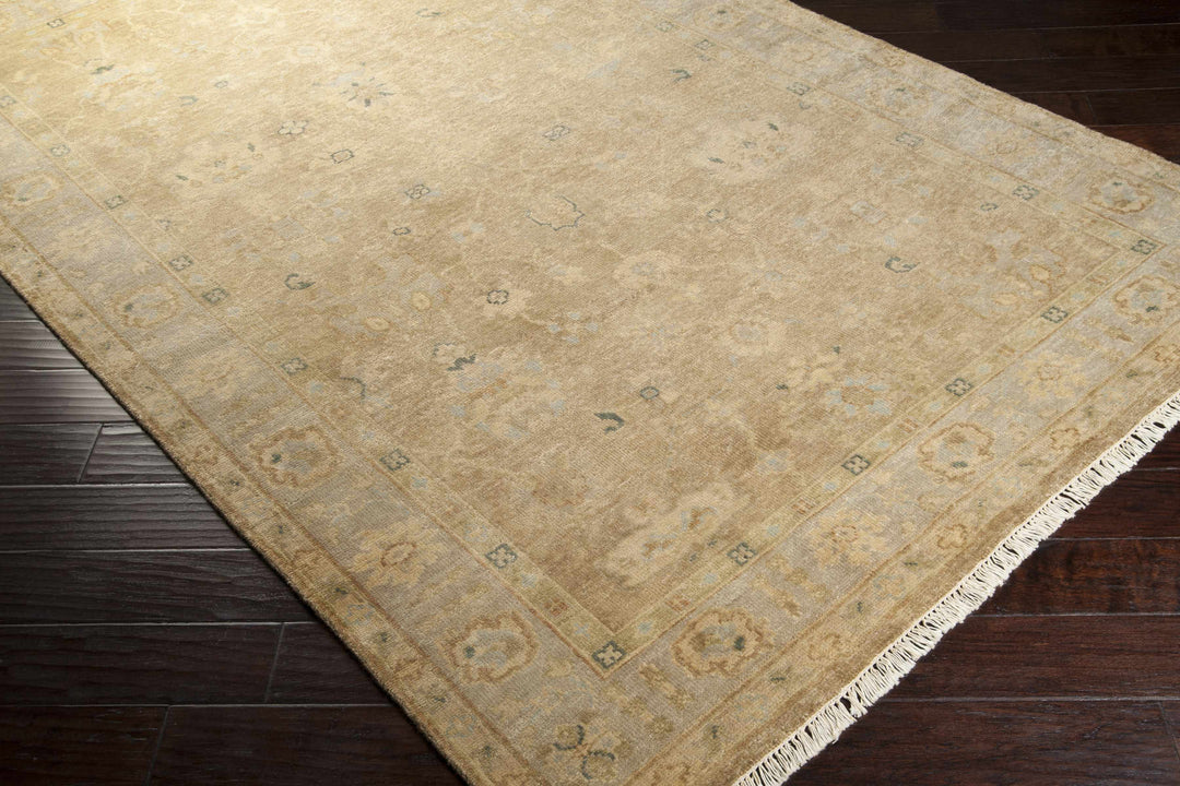 Lockney Brown Traditional Style Hand Knotted Area Rug