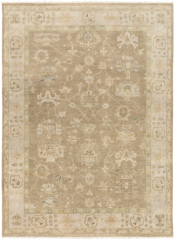 Lockney Brown Traditional Style Hand Knotted Area Rug