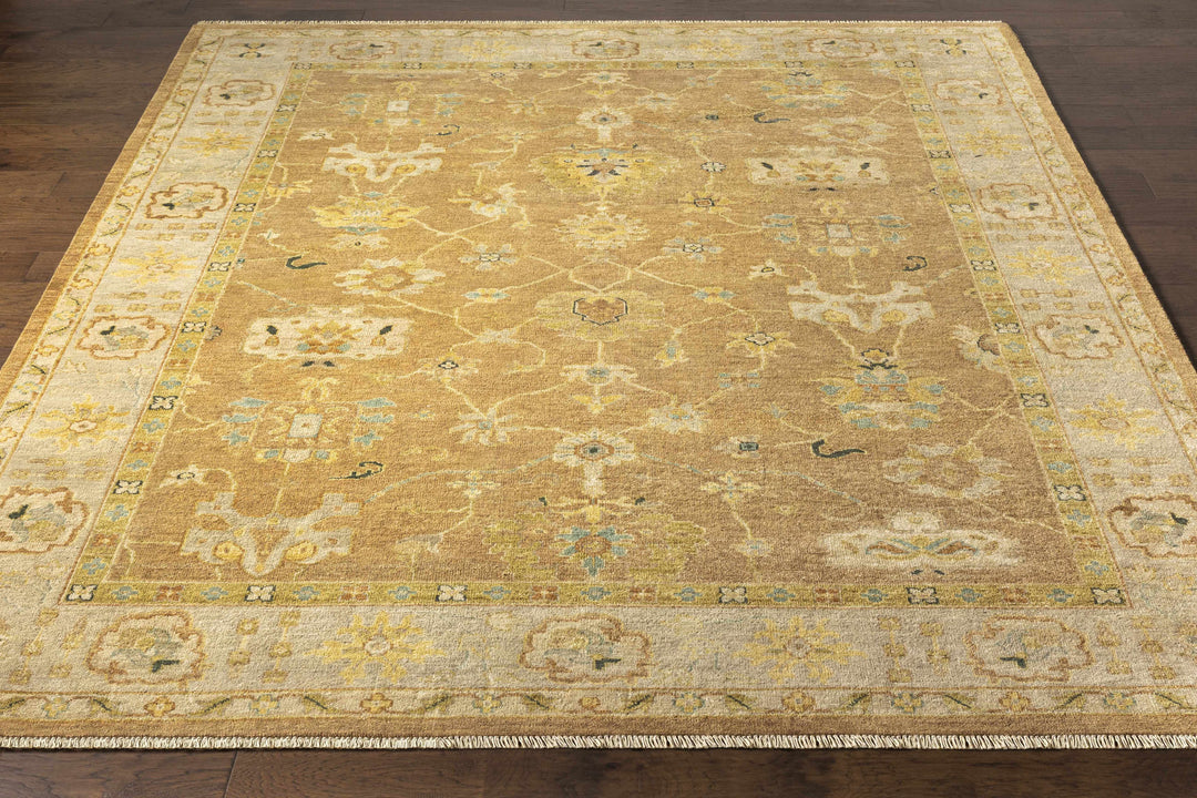 Lockney Brown Traditional Style Hand Knotted Area Rug
