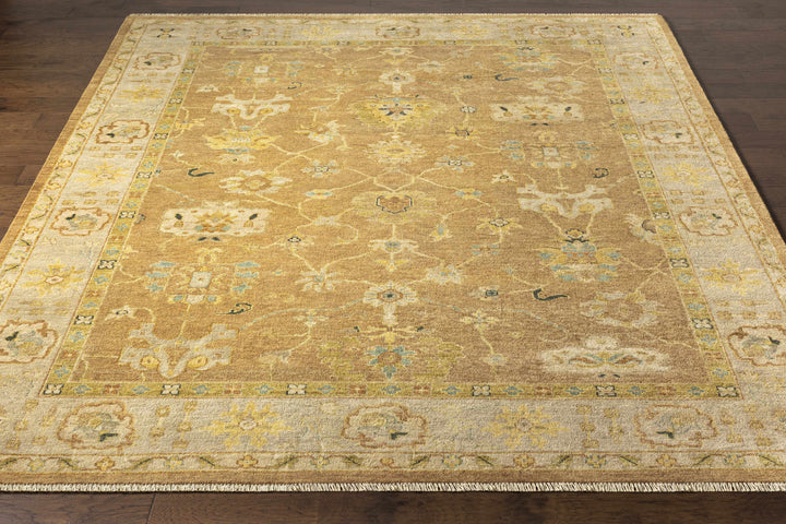 Lockney Brown Traditional Style Hand Knotted Area Rug