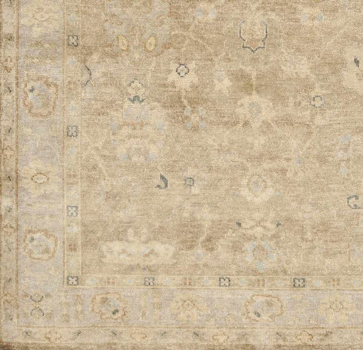 Lockney Brown Traditional Style Hand Knotted Area Rug