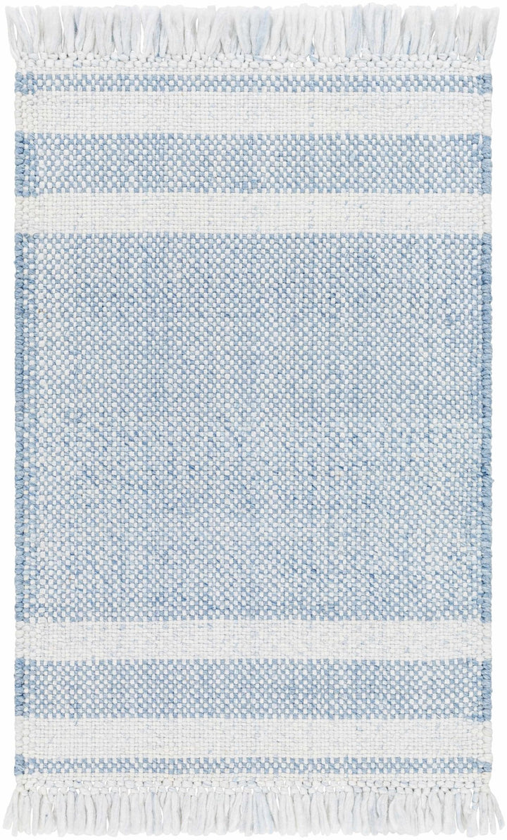 Loic Blue Contemporary Style Hand Woven Area Rug - The Rug Decor