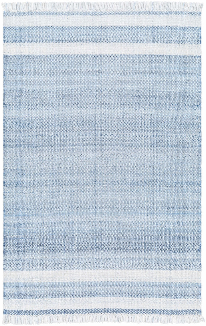 Loic Blue Contemporary Style Hand Woven Area Rug - The Rug Decor