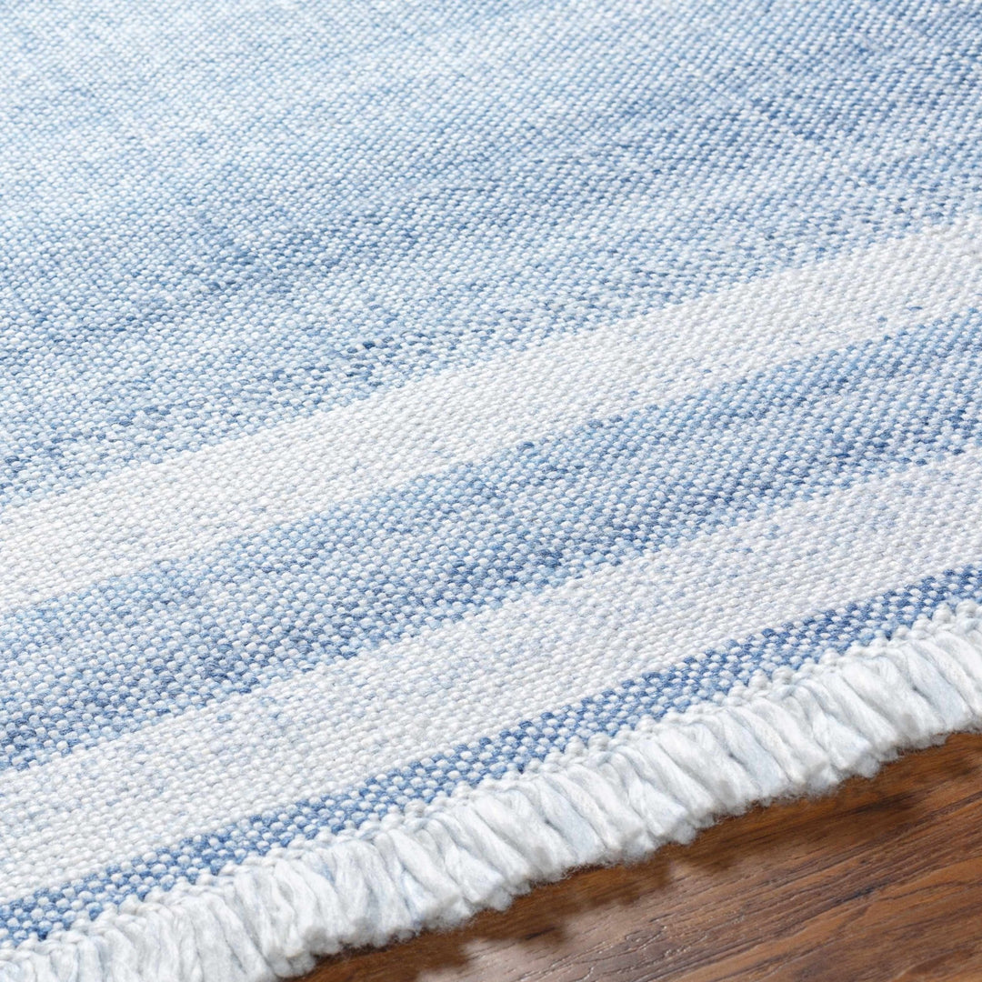 Loic Blue Contemporary Style Hand Woven Area Rug - The Rug Decor