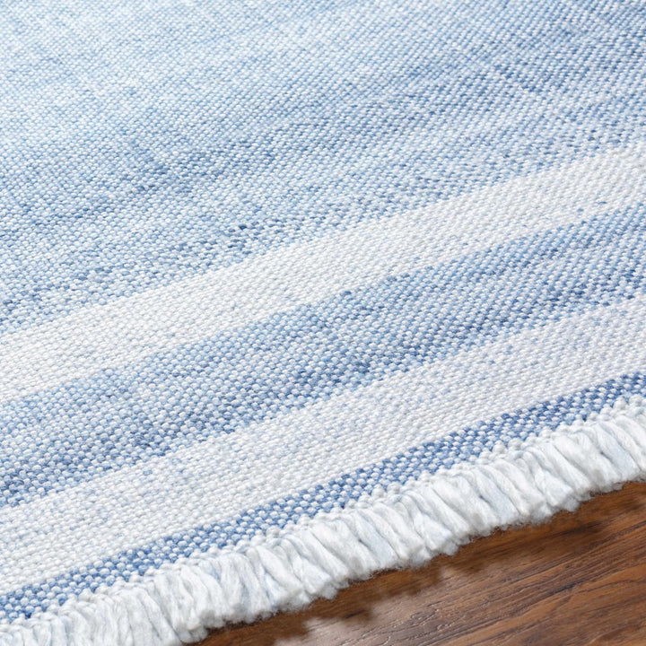 Loic Blue Contemporary Style Hand Woven Area Rug - The Rug Decor