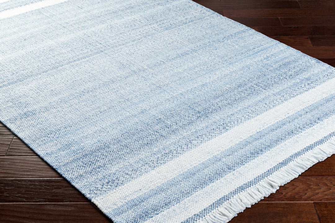 Loic Blue Contemporary Style Hand Woven Area Rug - The Rug Decor