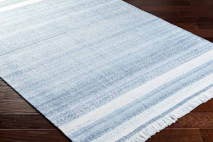 Loic Blue Contemporary Style Hand Woven Area Rug - The Rug Decor