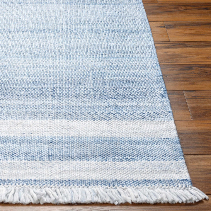 Loic Blue Contemporary Style Hand Woven Area Rug - The Rug Decor