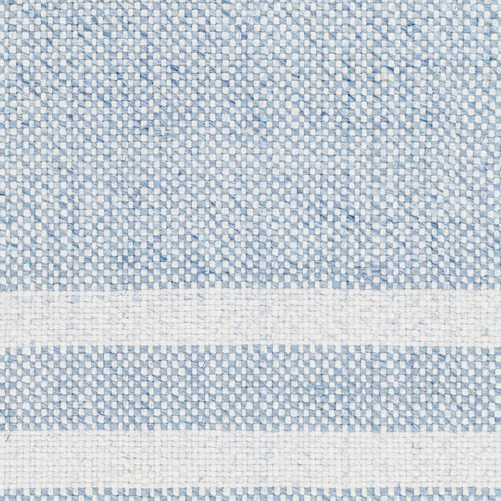 Loic Blue Contemporary Style Hand Woven Area Rug - The Rug Decor