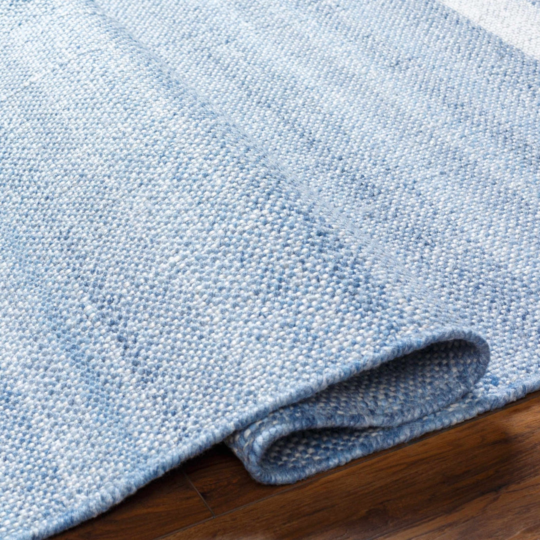 Loic Blue Contemporary Style Hand Woven Area Rug - The Rug Decor