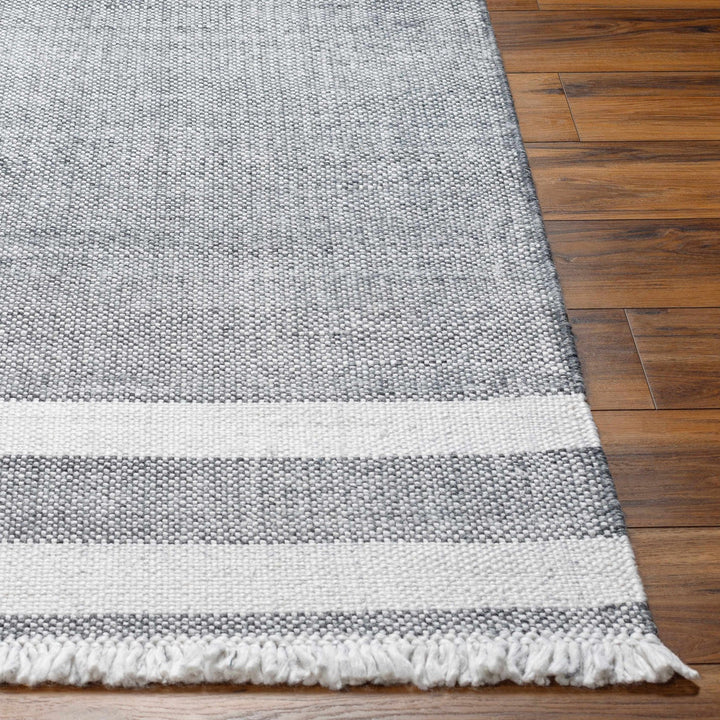 Loic Modern Stripe Pattern Gray Hand Woven Area Rug - The Rug Decor