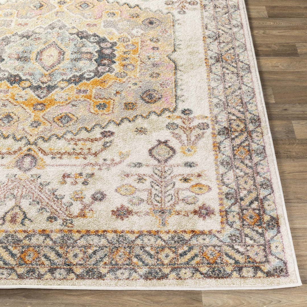 Loranger Traditional Style Ivory And Brown Area Rug - The Rug Decor