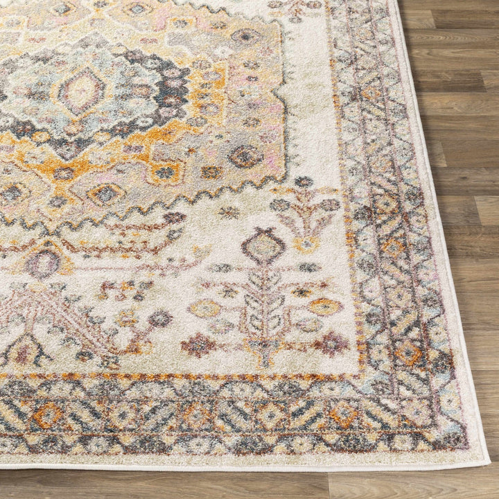 Loranger Traditional Style Ivory And Brown Area Rug - The Rug Decor