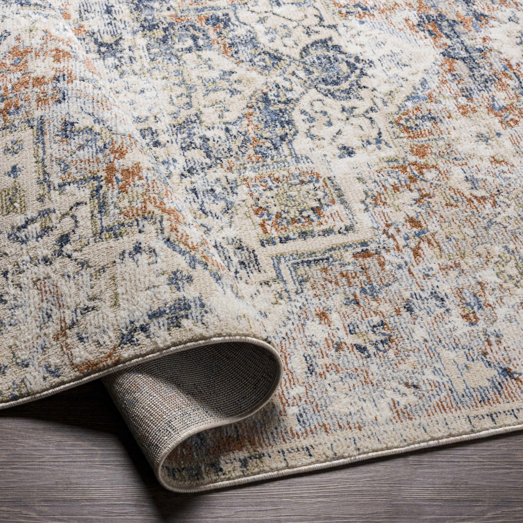Loughrea Traditional Style Ivory And Brown Area Rug - The Rug Decor