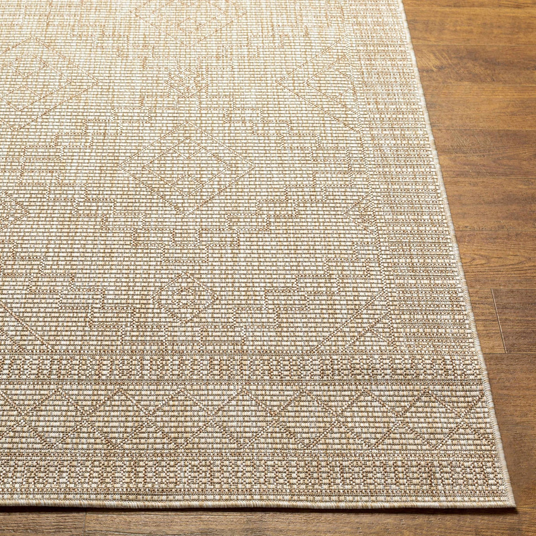Lucea Traditional style Tan And Beige Rug - The Rug Decor