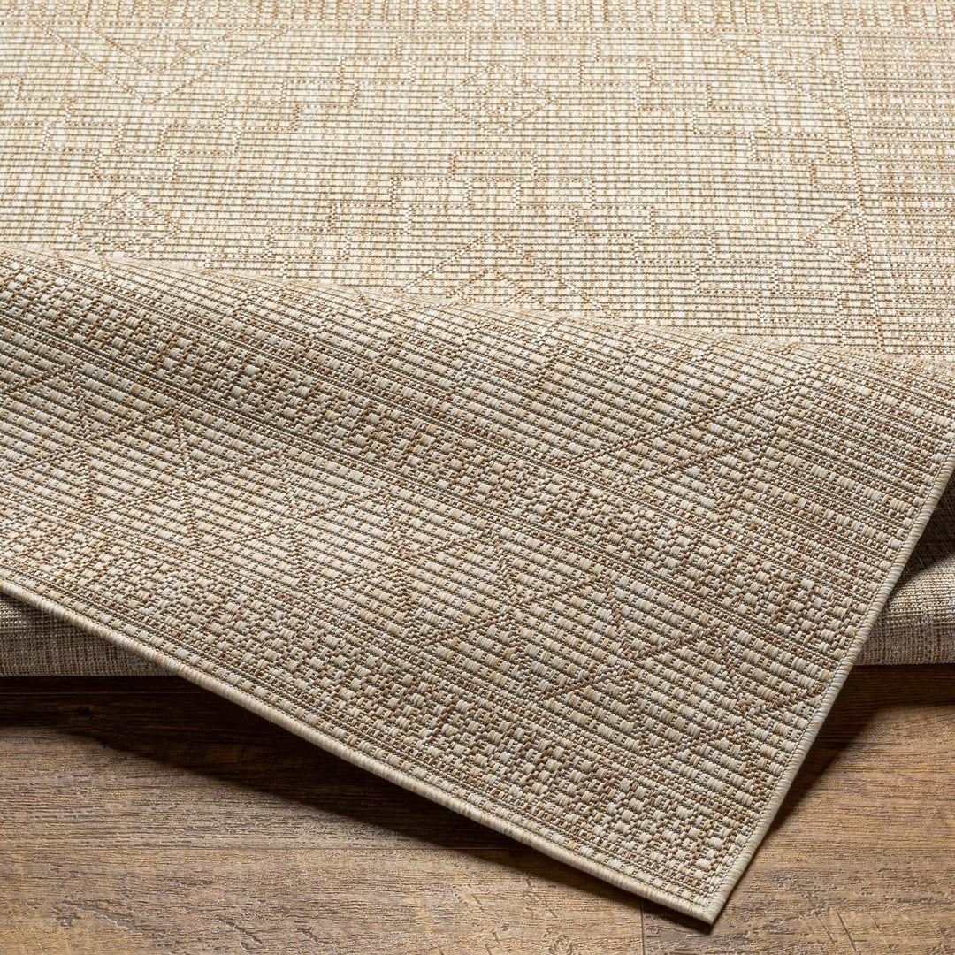 Lucea Traditional style Tan And Beige Rug - The Rug Decor