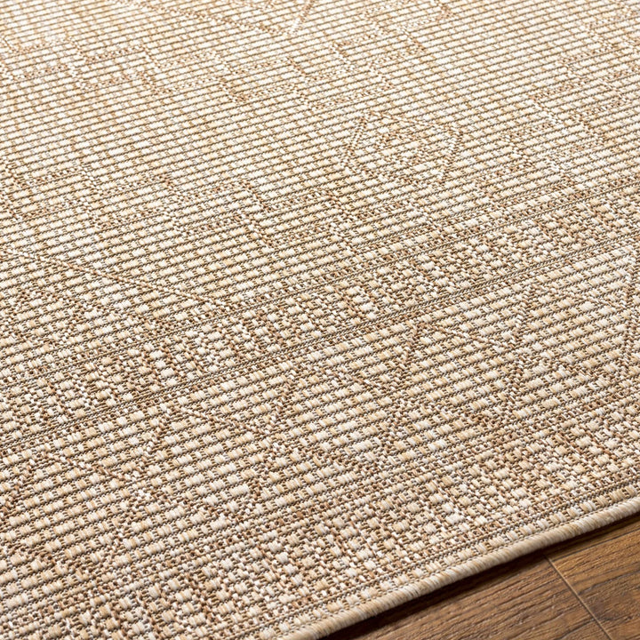 Lucea Traditional style Tan And Beige Rug - The Rug Decor