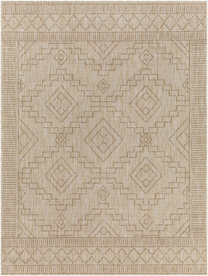 Lucea Traditional style Tan And Beige Rug - The Rug Decor