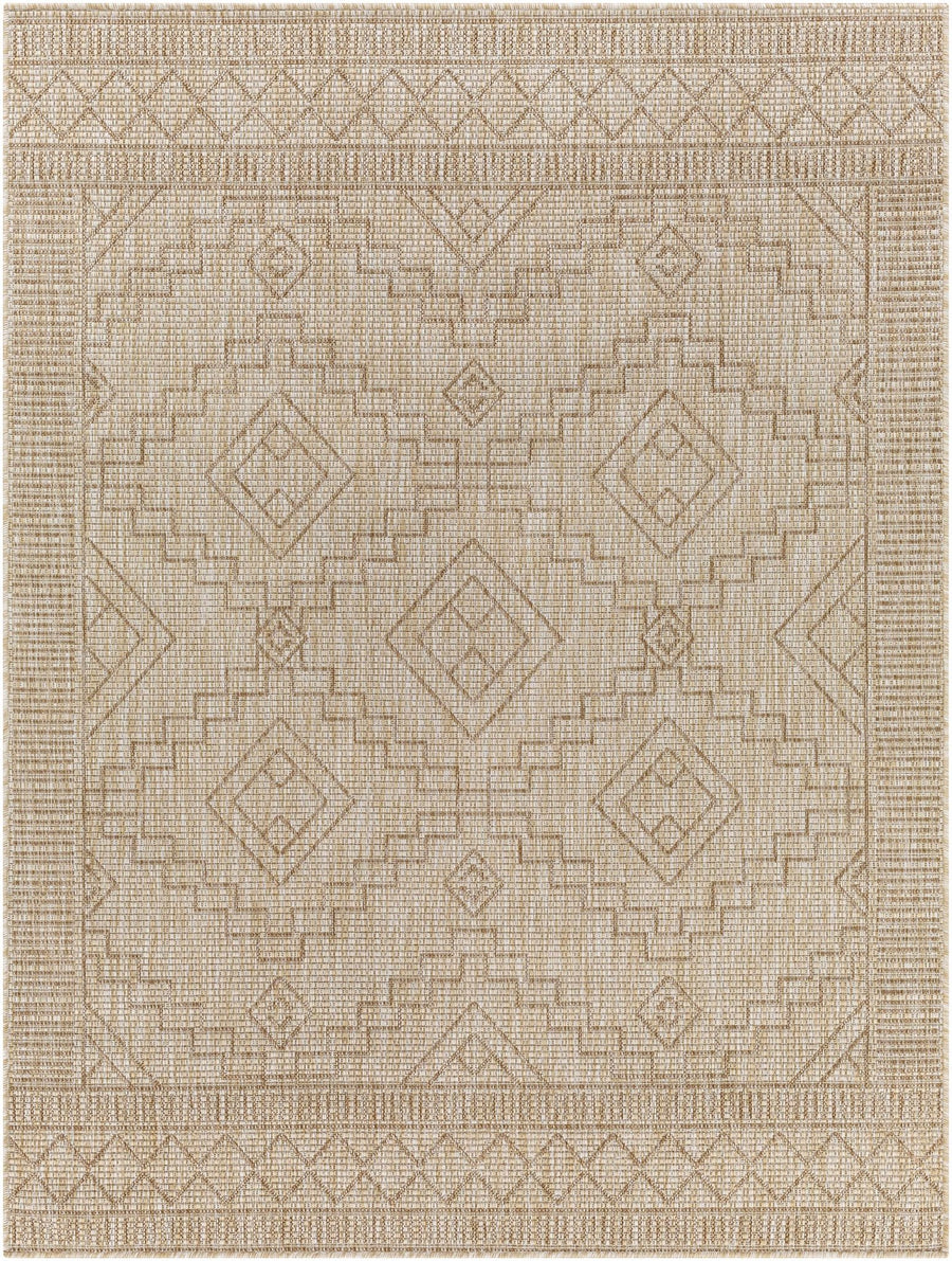 Lucea Traditional style Tan And Beige Rug - The Rug Decor