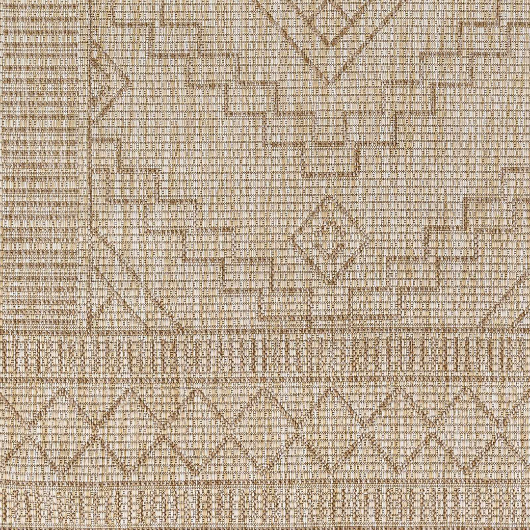 Lucea Traditional style Tan And Beige Rug - The Rug Decor
