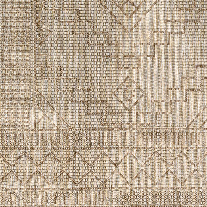 Lucea Traditional style Tan And Beige Rug - The Rug Decor