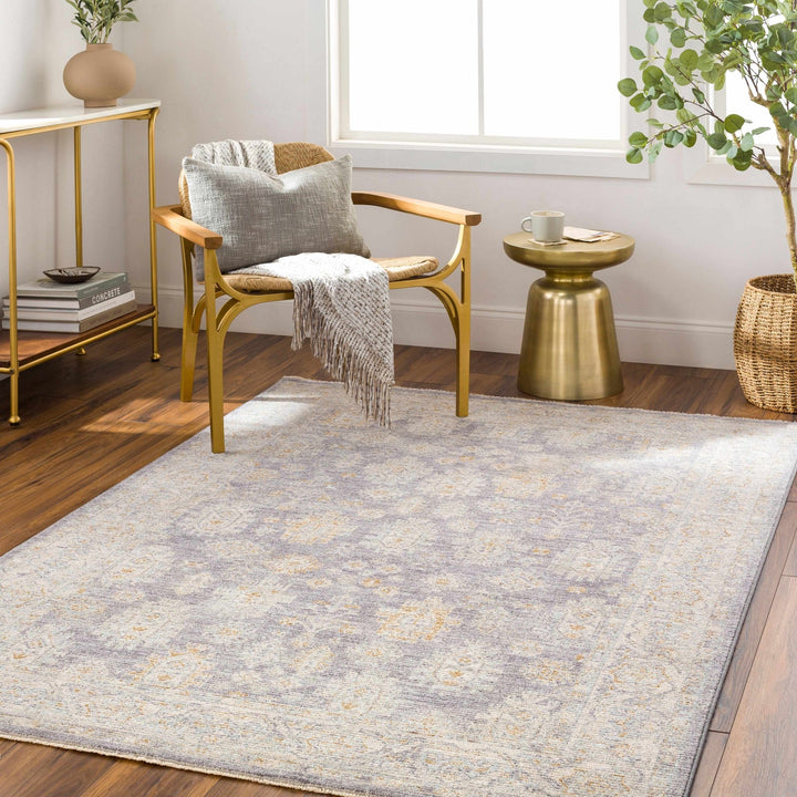 Luka Traditional Style Beige And Gray Area Rug - The Rug Decor