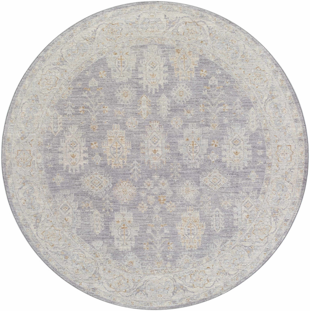 Luka Traditional Style Beige And Gray Area Rug - The Rug Decor