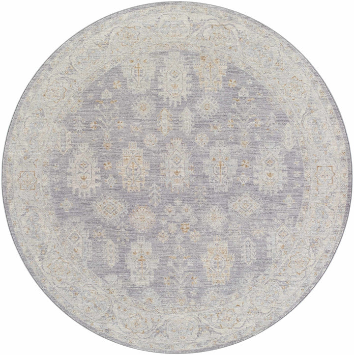 Luka Traditional Style Beige And Gray Area Rug - The Rug Decor