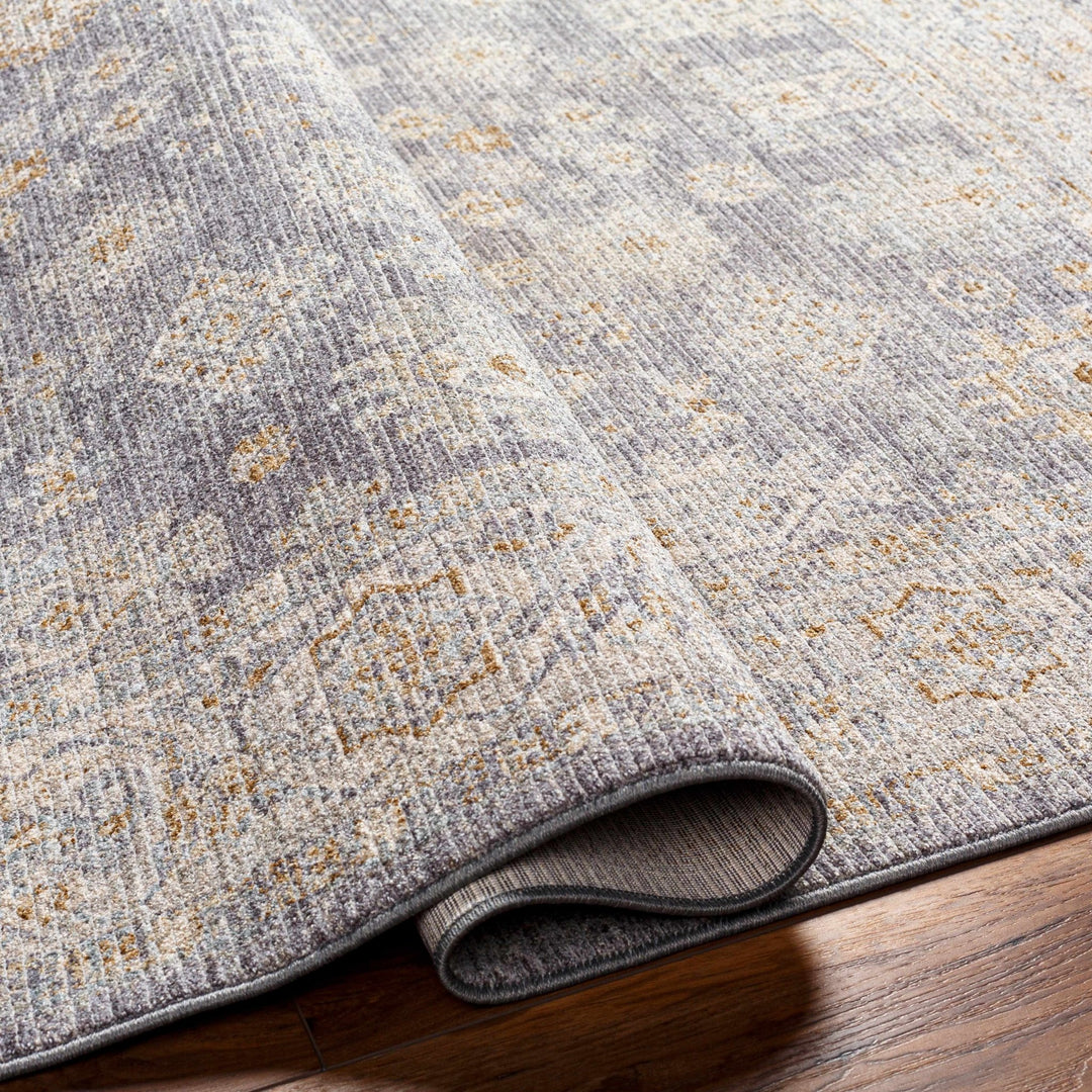 Luka Traditional Style Beige And Gray Area Rug - The Rug Decor