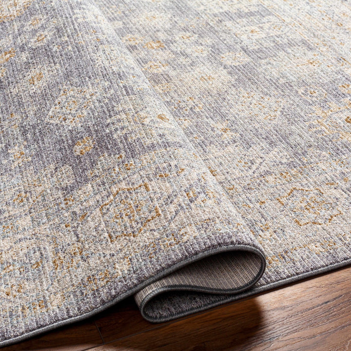Luka Traditional Style Beige And Gray Area Rug - The Rug Decor