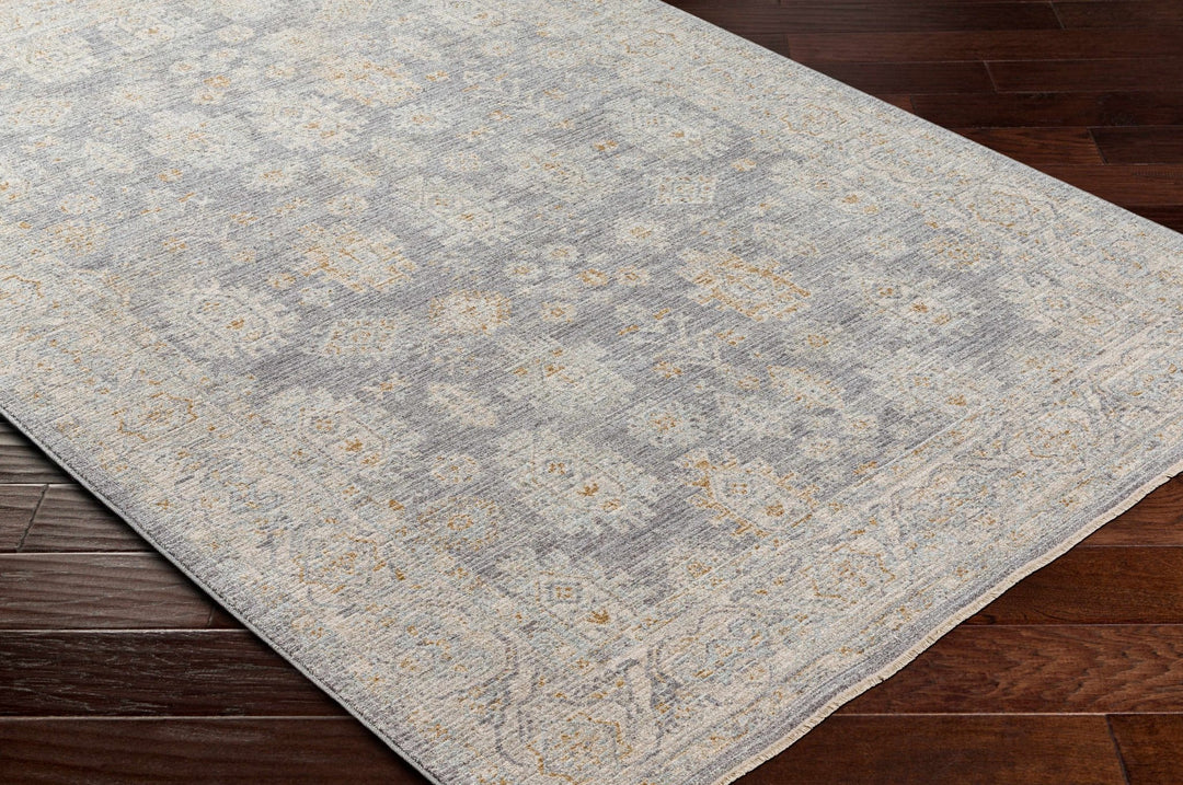 Luka Traditional Style Beige And Gray Area Rug - The Rug Decor