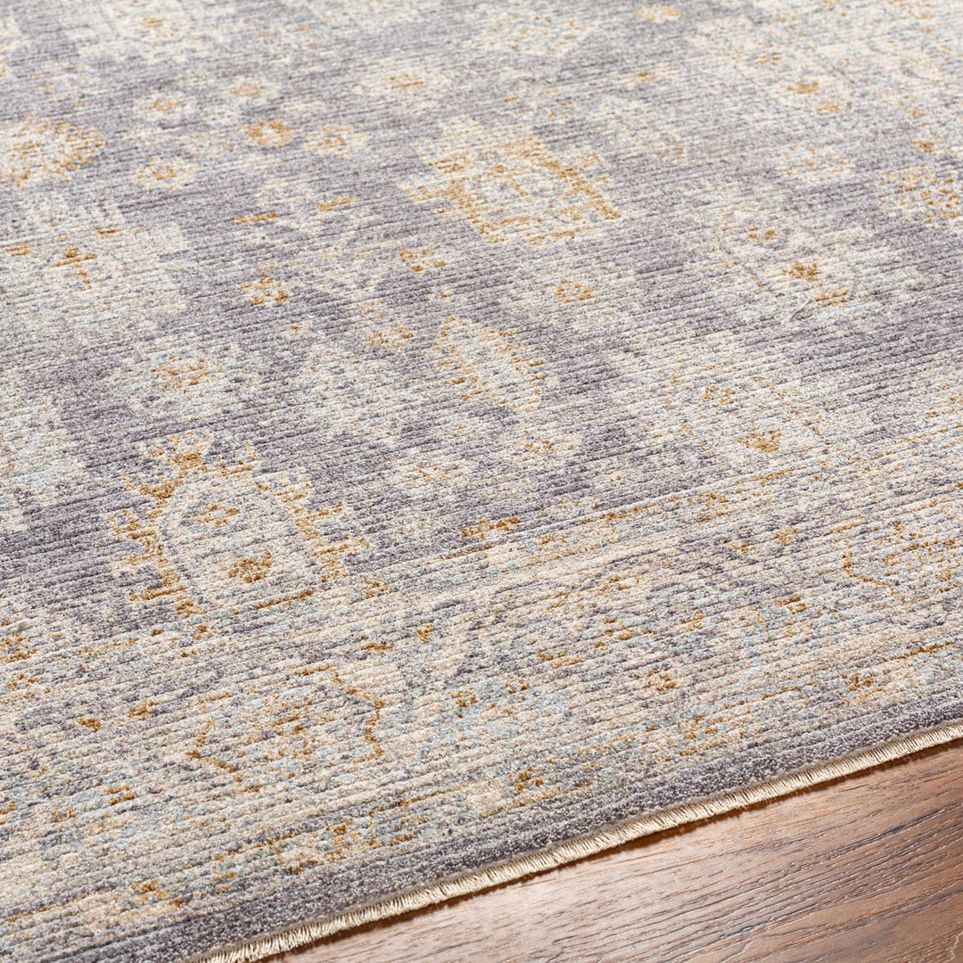 Luka Traditional Style Beige And Gray Area Rug - The Rug Decor