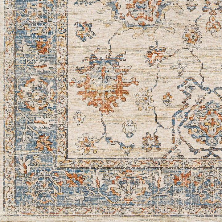 Luma Traditional Design Beige & Blue Area Rug - The Rug Decor