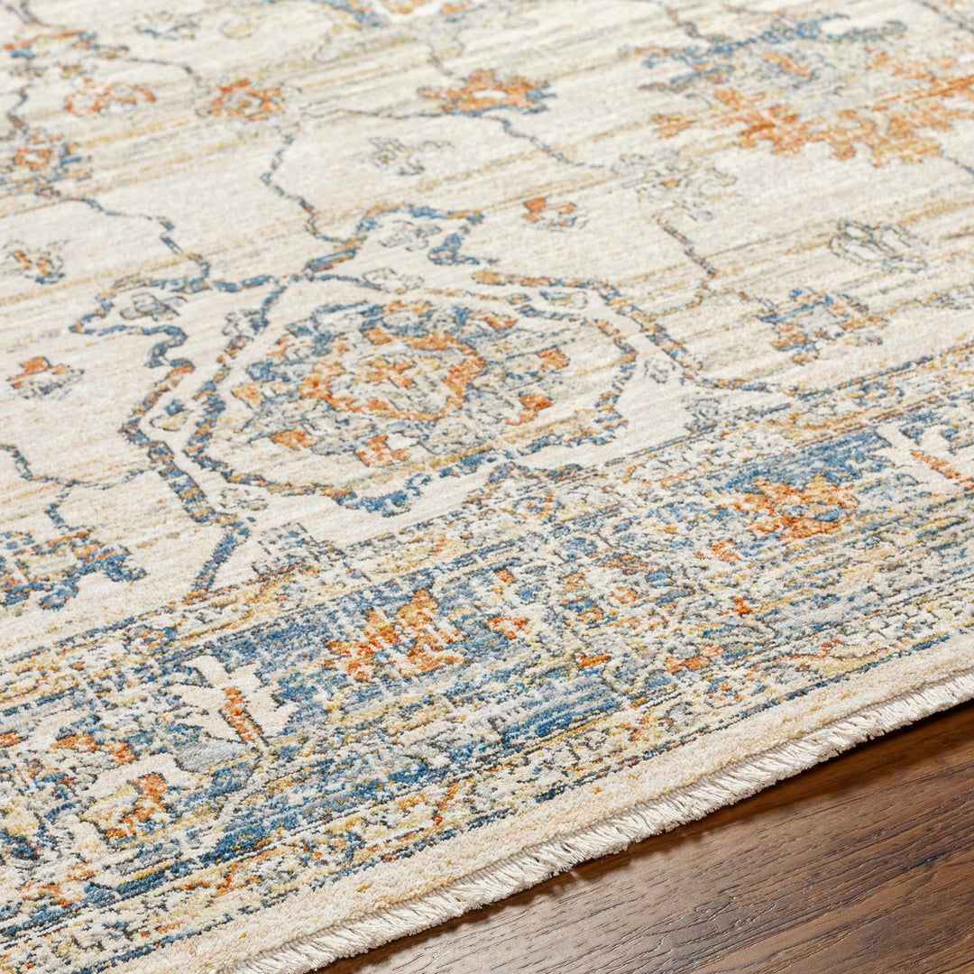 Luma Traditional Design Beige & Blue Area Rug - The Rug Decor