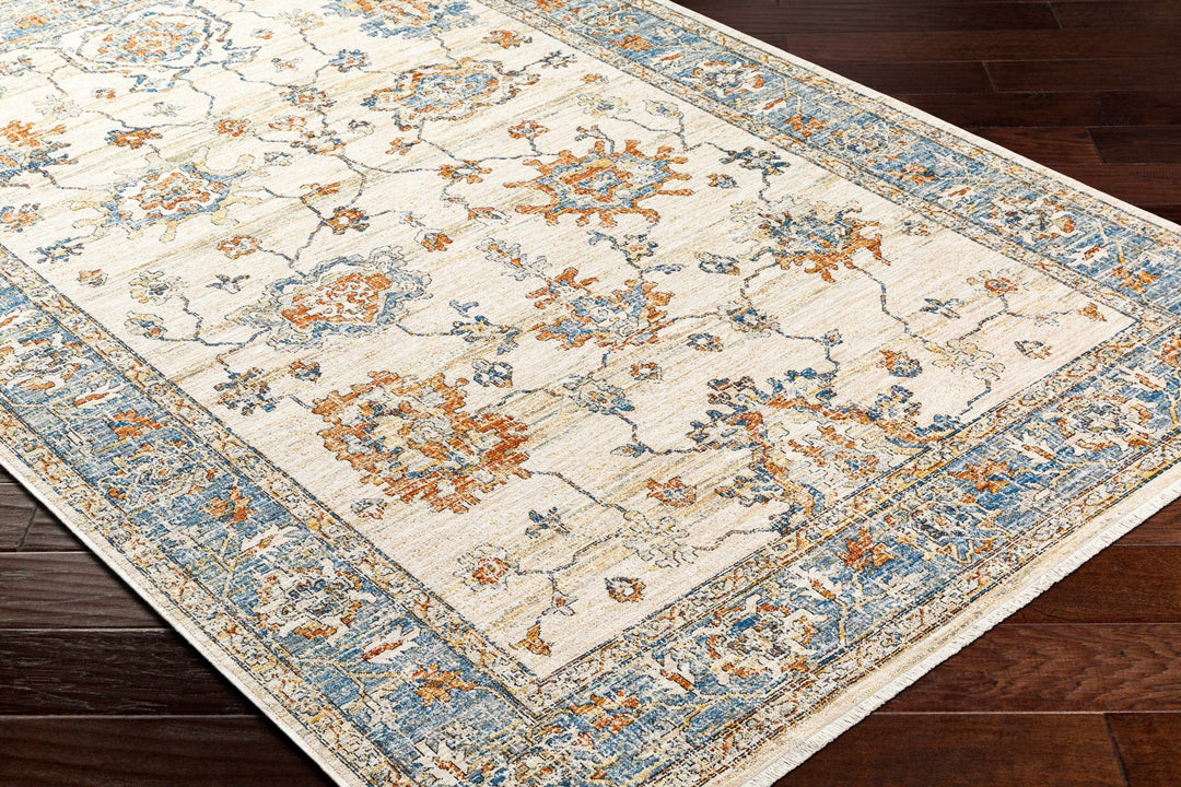 Luma Traditional Design Beige & Blue Area Rug - The Rug Decor