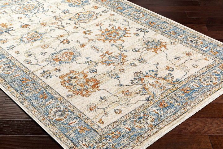 Luma Traditional Design Beige & Blue Area Rug - The Rug Decor