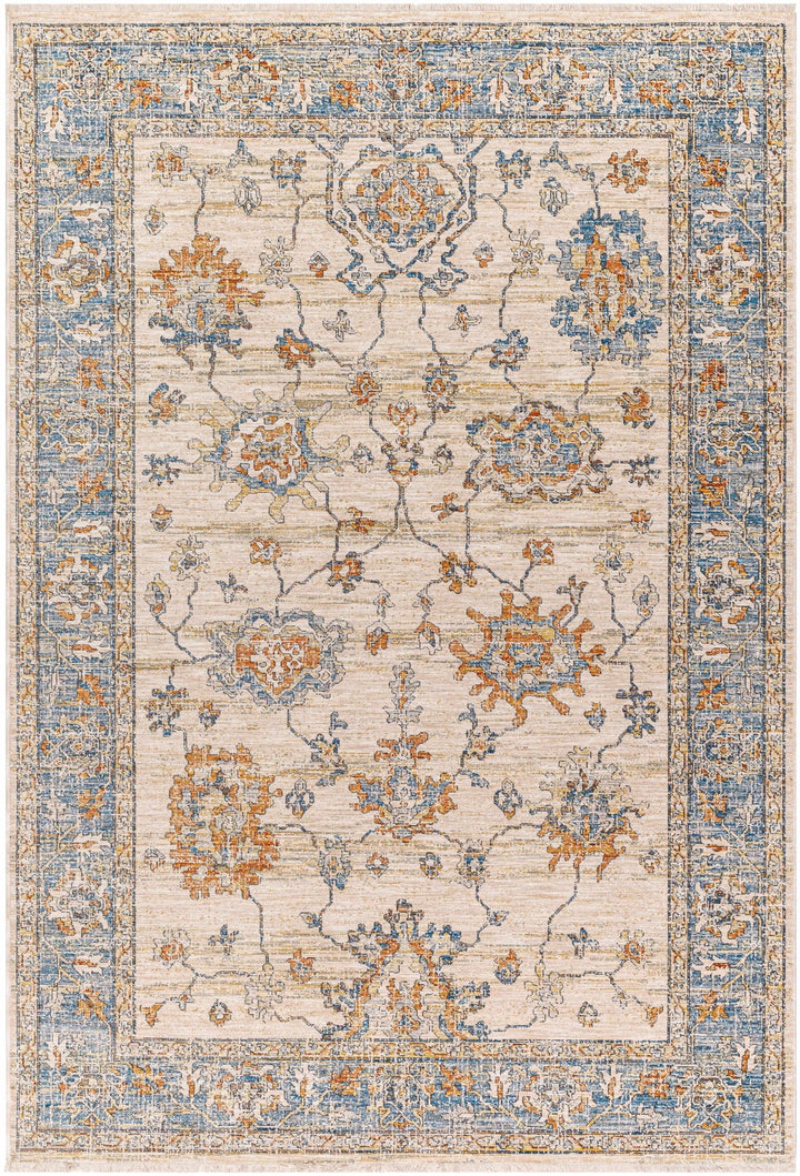 Luma Traditional Design Beige & Blue Area Rug - The Rug Decor
