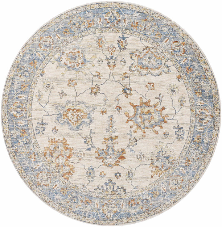 Luma Traditional Design Beige & Blue Area Rug - The Rug Decor