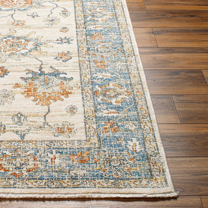Luma Traditional Design Beige & Blue Area Rug - The Rug Decor